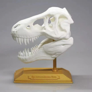 3d Plastic Printing Service, Sls 3d Printer Prototyping